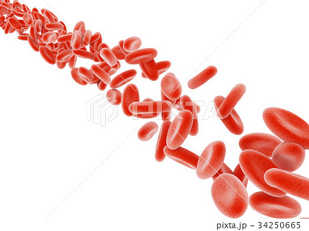 赤血球 34250665