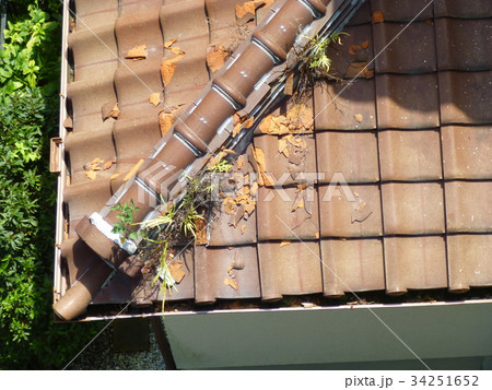 瓦の破損　雨漏り　メンテナンス　屋根補修　日本瓦 34251652