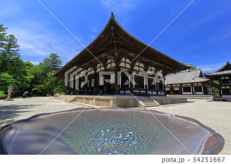 唐招提寺 吐水盤と金堂 唐招提寺 吐水盤と金堂 34251667