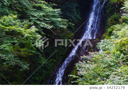 【ダム湖100選】宮ヶ瀬ダム・大沢の滝(宮ヶ瀬湖) 【ダム湖100選】宮ヶ瀬ダム・大沢の滝(宮ヶ瀬湖) 34252179