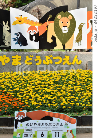 横浜・野毛山動物園 横浜・野毛山動物園 34252197