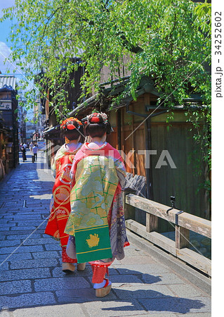 祇園巽橋と舞妓さん 34252602