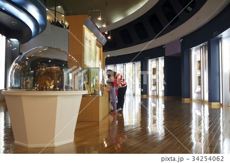 博物館 家族 ファミリー 34254062