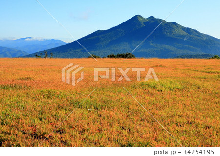 草紅葉の尾瀬・アヤメ平から見る燧ヶ岳 34254195