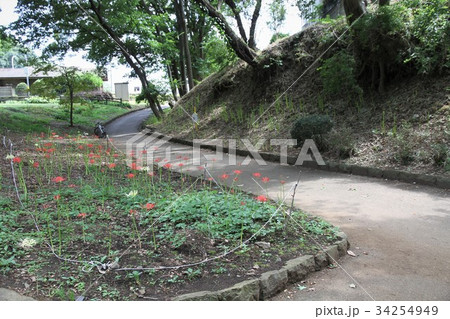 神奈川県座間市　かにが沢公園 34254949