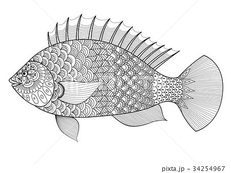 Fish for coloring book 34254967