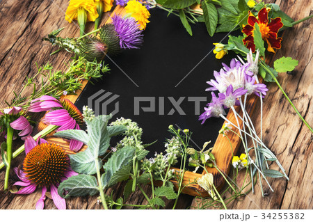 healthy herbs and flower, healthy herbs and flower, 34255382