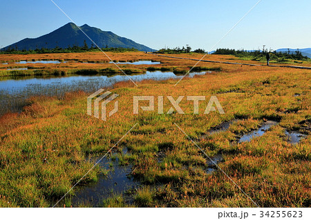 草紅葉の尾瀬・アヤメ平から見る燧ヶ岳 草紅葉の尾瀬・アヤメ平から見る燧ヶ岳 34255623