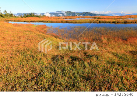 尾瀬・アヤメ平の池塘と景鶴山・平ヶ岳の眺め 34255640
