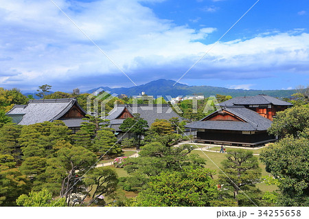 二条城　本丸庭園 34255658