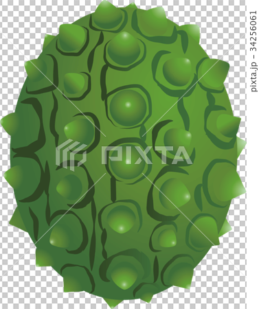 キワーノ 34256061