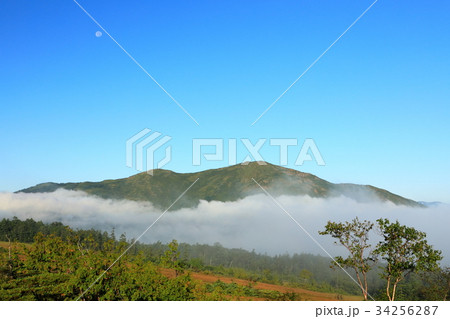 アヤメ平・鳩待峠間から見る雲上の至仏山と月 34256287