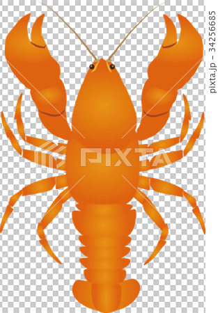 crayfish crayfish 34256685