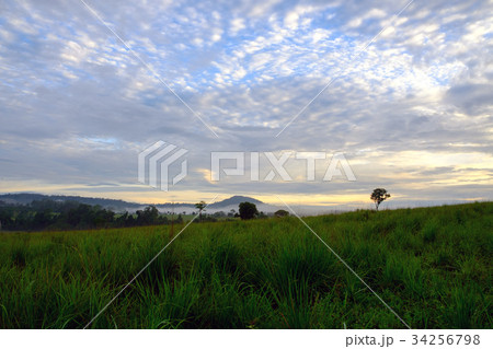 Landscape morning sunrise at Thung Salang Luang Landscape morning sunrise at Thung Salang Luang 34256798