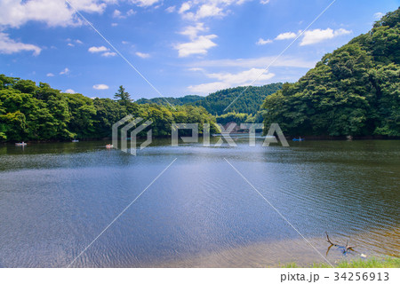 【千葉県】房総の亀山湖でボートを楽しむ人達 【千葉県】房総の亀山湖でボートを楽しむ人達 34256913