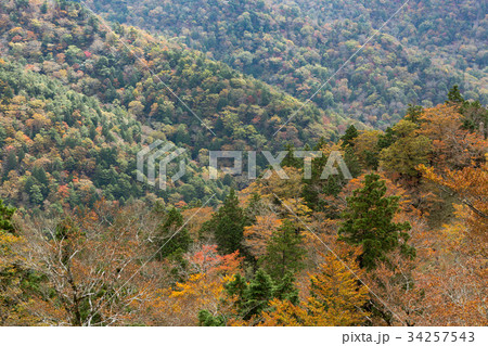 山の紅葉 34257543