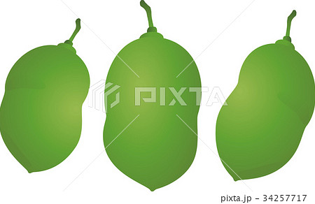 ポポー ポポー 34257717