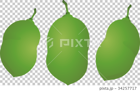 ポポー ポポー 34257717