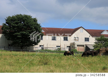 羅漢高原 34258588