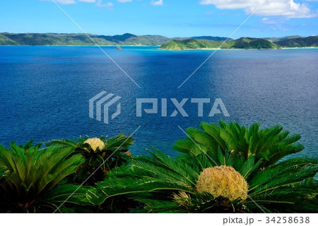 奄美　今井崎からの眺め04 34258638