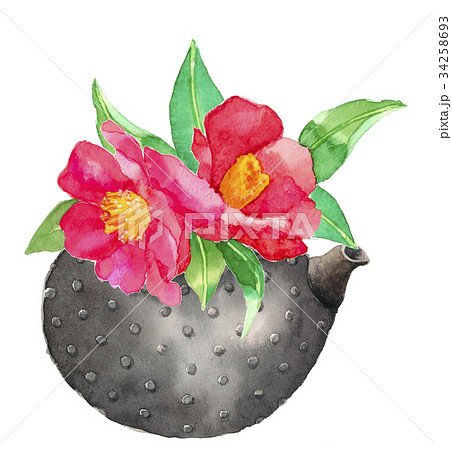 山茶花と鉄瓶 34258693