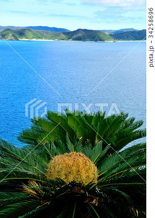 奄美　今井崎からの眺め05 34258696