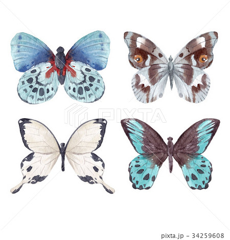 Watercolor butterflies set Watercolor butterflies set 34259608