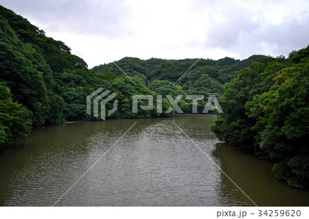 千葉県南房総市安房中央ダムの写真 34259620