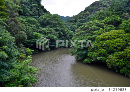 千葉県南房総市安房中央ダムの写真 千葉県南房総市安房中央ダムの写真 34259623