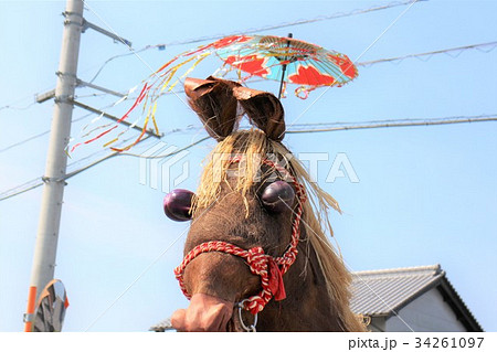 ひょうげ祭りの馬と傘 34261097