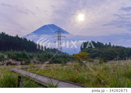 【静岡県】秋の小田貫湿原と富士山 34262675