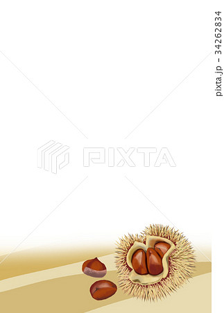 はがき 秋 栗 ２のイラスト素材