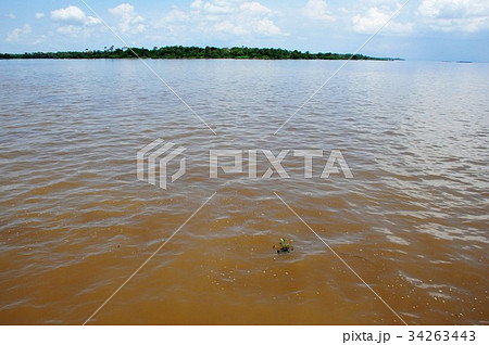 世界最大の大河アマゾン河クルーズ 34263443