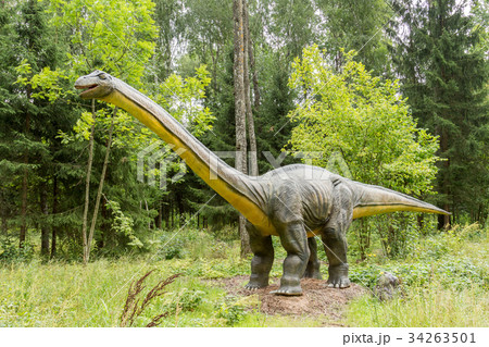 Statue of realistic Diplodocus dinosaur Statue of realistic Diplodocus dinosaur 34263501