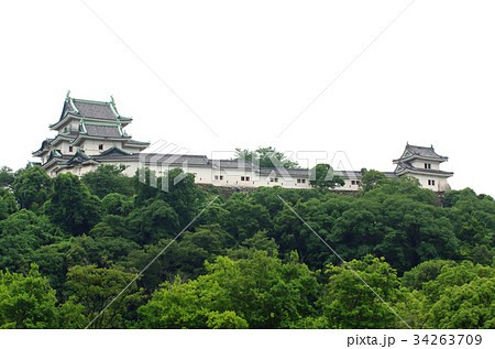 和歌山城の天守 34263709