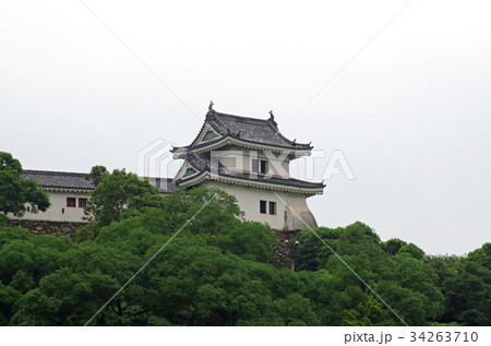 和歌山城の天守 和歌山城の天守 34263710