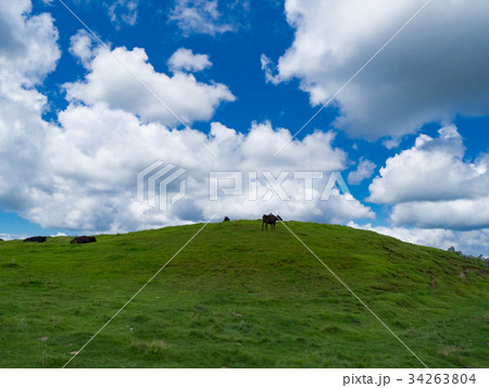 四国カルスト　五段高原 34263804