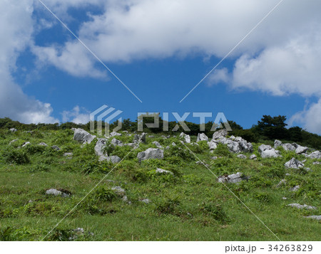 四国カルスト 34263829