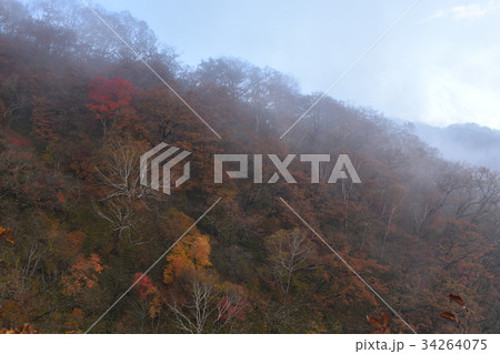 秋の赤城山 秋の赤城山 34264075