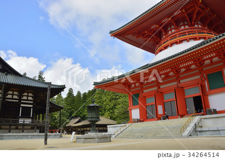 【和歌山県　高野山】壇上伽藍・根本大塔 34264514
