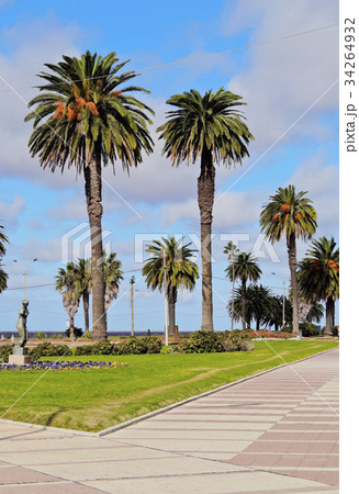 Montevideo 34264932