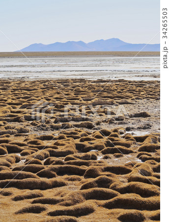 Bolivian Landscape 34265503