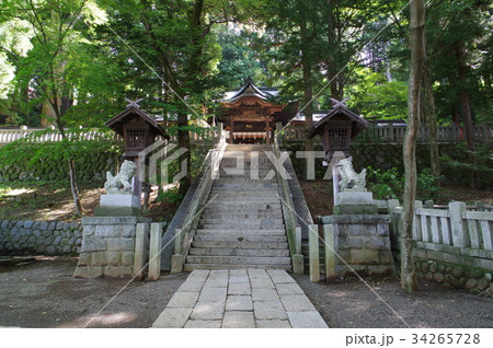 信州諏訪の神さま 手長(てなが)神社 参道と狛犬横 江戸時代の建築物のある神社 信州諏訪の神さま 手長(てなが)神社 参道と狛犬横 江戸時代の建築物のある神社 34265728