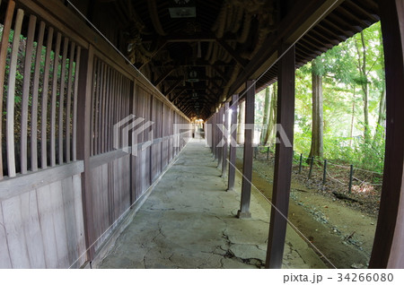 信州　諏訪の文化財　手長神社の回廊　拝殿は立川和四郎富棟建造　立川流彫刻が見事 34266080