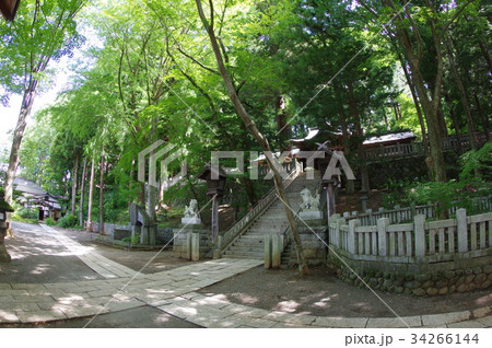 信州　諏訪の天然記念物　手長神社社叢「手長の森」　超広角　樹齢５００年超の欅を含む森 34266144