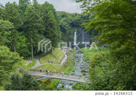 Shiraito waterfall near Mt. Fuji   34266315