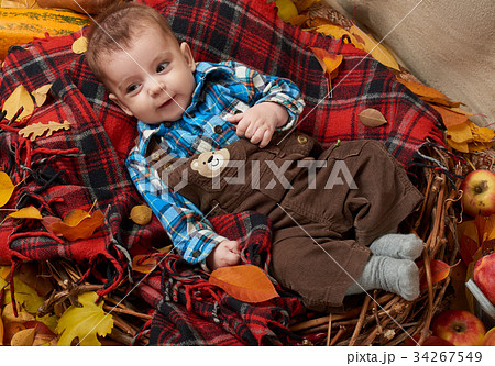autumn season, child boy lie on yellow fall leaves autumn season, child boy lie on yellow fall leaves 34267549