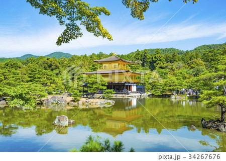 新緑の金閣寺 34267676
