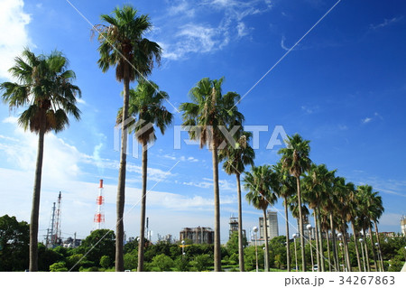 三重県霞ヶ浦からの工場風景 34267863