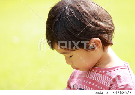 2歳8ヶ月 2歳8ヶ月 34268628